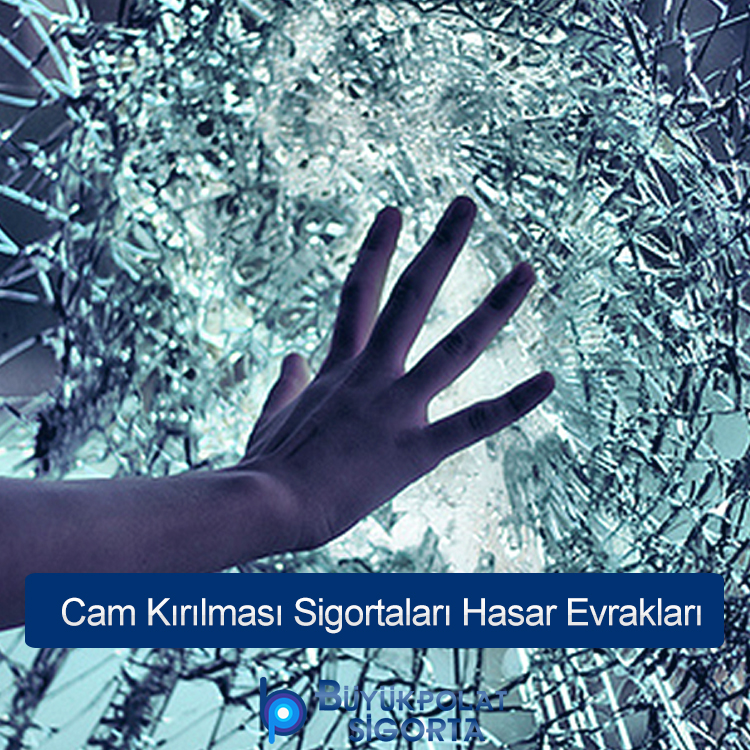 Cam Kırılması Sigortaları Hasar Evrakları | Adıyaman Cam Kırılması Sigortası